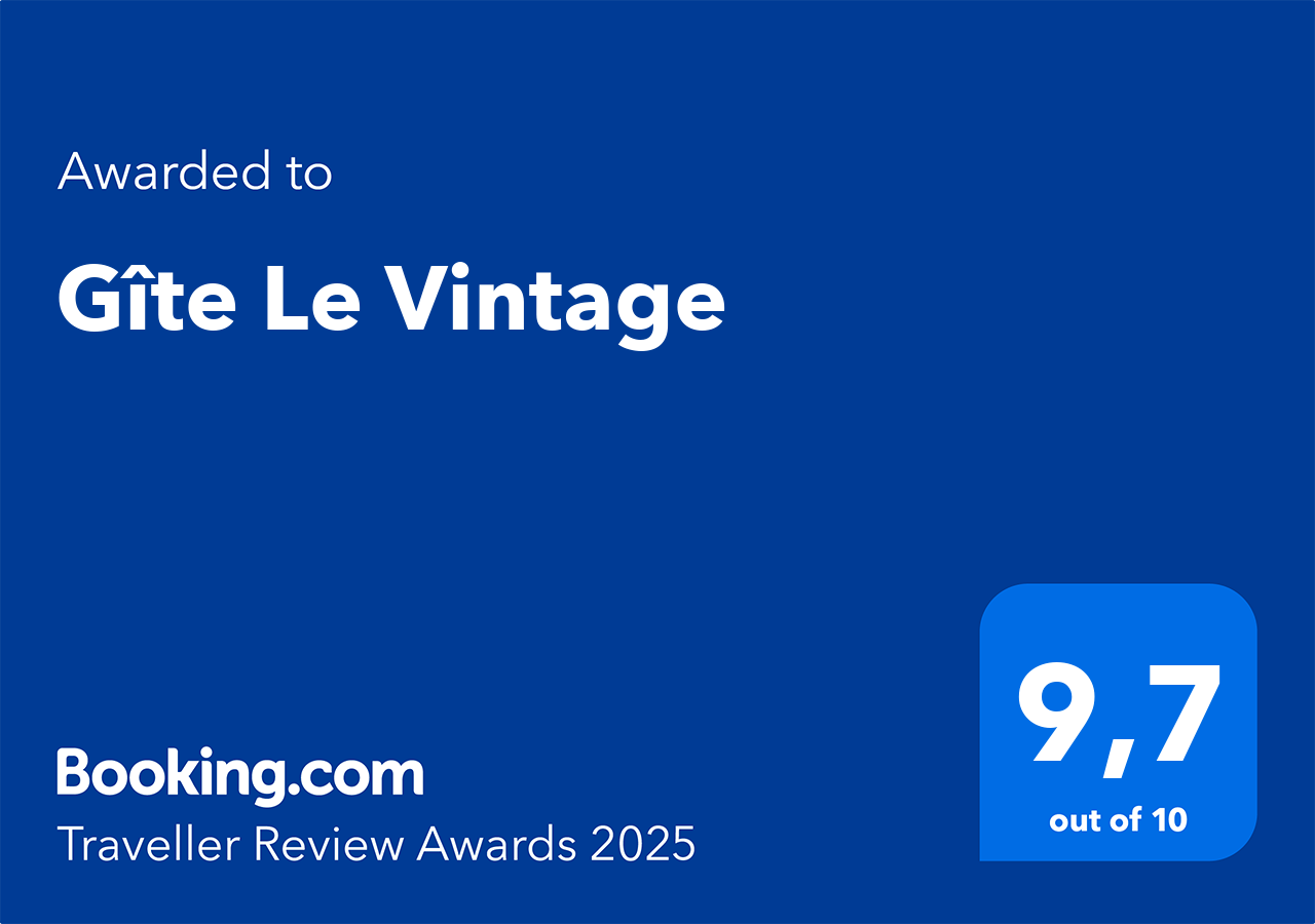 Booking Traveller Review Award